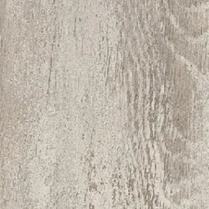 Houston Castano - Image 2