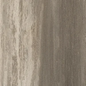 Houston Castano - Image 3